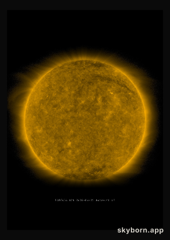 The Sun on 25 June 2020
