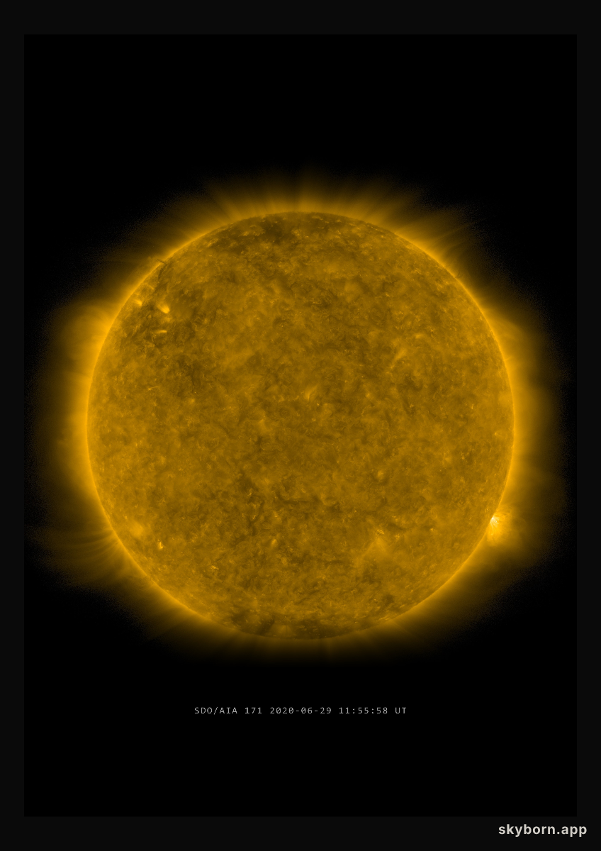 The Sun on 29 June 2020