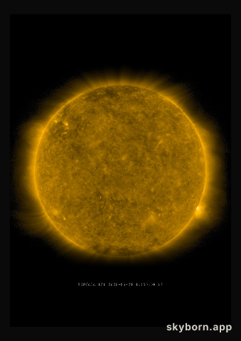The Sun on 29 June 2020