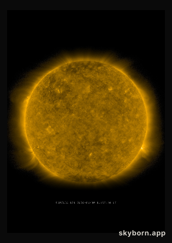 The Sun on 30 June 2020
