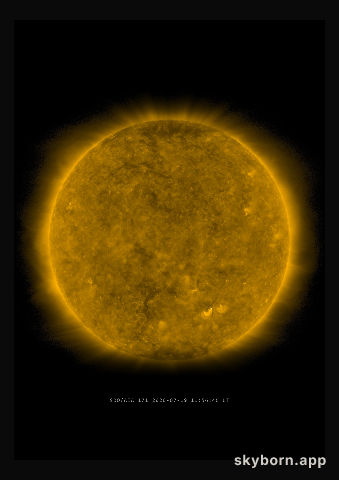 The Sun on 19 July 2020