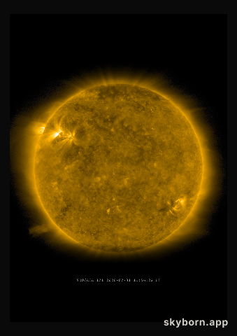 The Sun on 31 July 2020