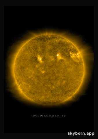 The Sun on 8 August 2020