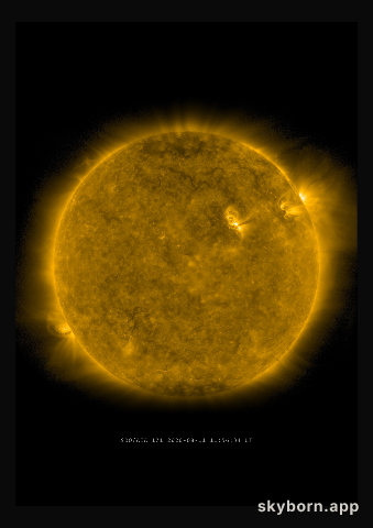 The Sun on 11 August 2020