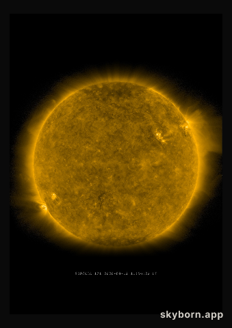 The Sun on 12 August 2020