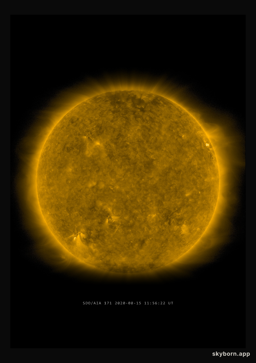 The Sun on 15 August 2020