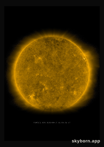 The Sun on 15 August 2020