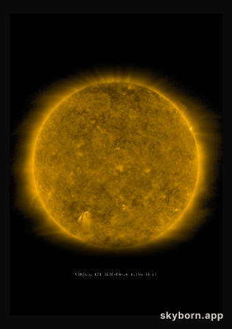 The Sun on 16 August 2020