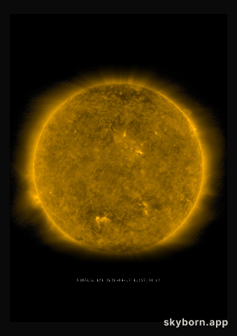 The Sun on 17 August 2020