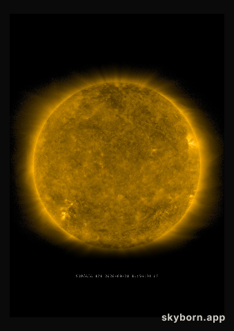 The Sun on 21 August 2020