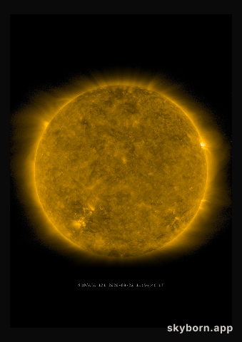 The Sun on 22 August 2020