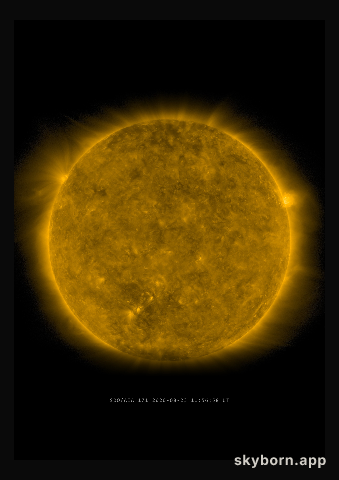 The Sun on 23 August 2020