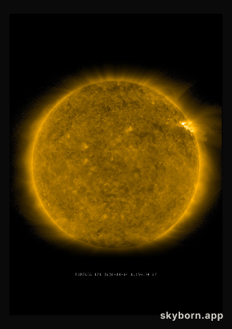 The Sun on 4 October 2020