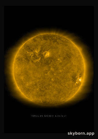 The Sun on 24 October 2020