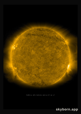 The Sun on 1 November 2020