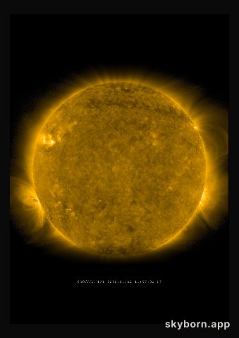 The Sun on 2 November 2020