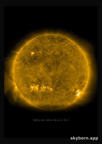 The Sun on 21 November 2020