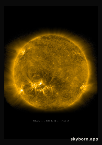 The Sun on 28 November 2020