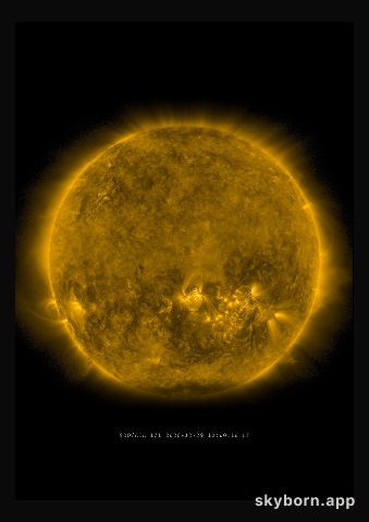 The Sun on 29 December 2020