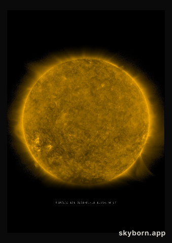 The Sun on 11 January 2021