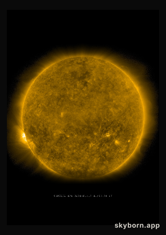 The Sun on 17 January 2021