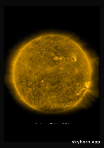 The Sun on 29 January 2021