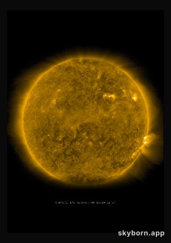 The Sun on 30 January 2021