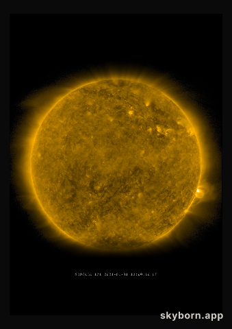 The Sun on 31 January 2021