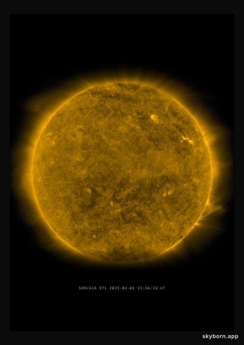 The Sun on 1 February 2021