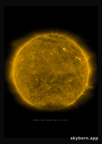 The Sun on 1 February 2021