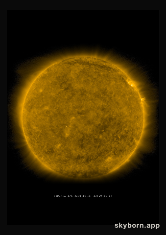 The Sun on 4 February 2021