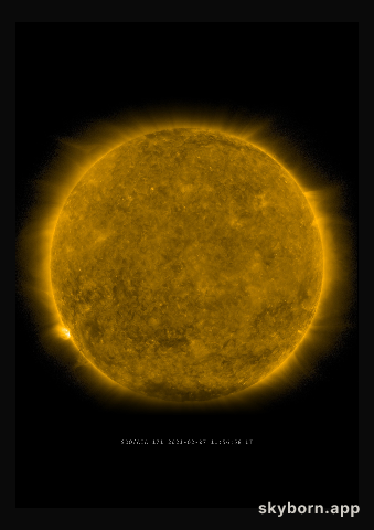 The Sun on 7 February 2021