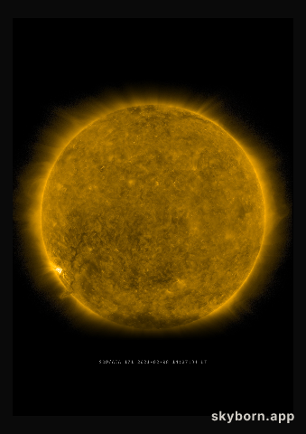 The Sun on 8 February 2021