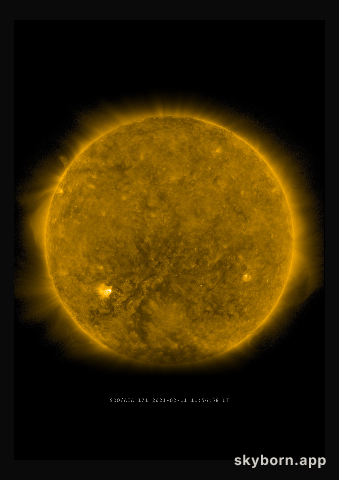 The Sun on 11 February 2021