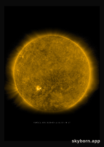 The Sun on 12 February 2021