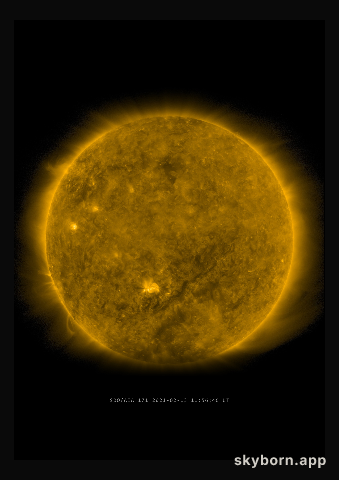 The Sun on 13 February 2021