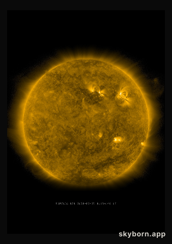 The Sun on 25 February 2021
