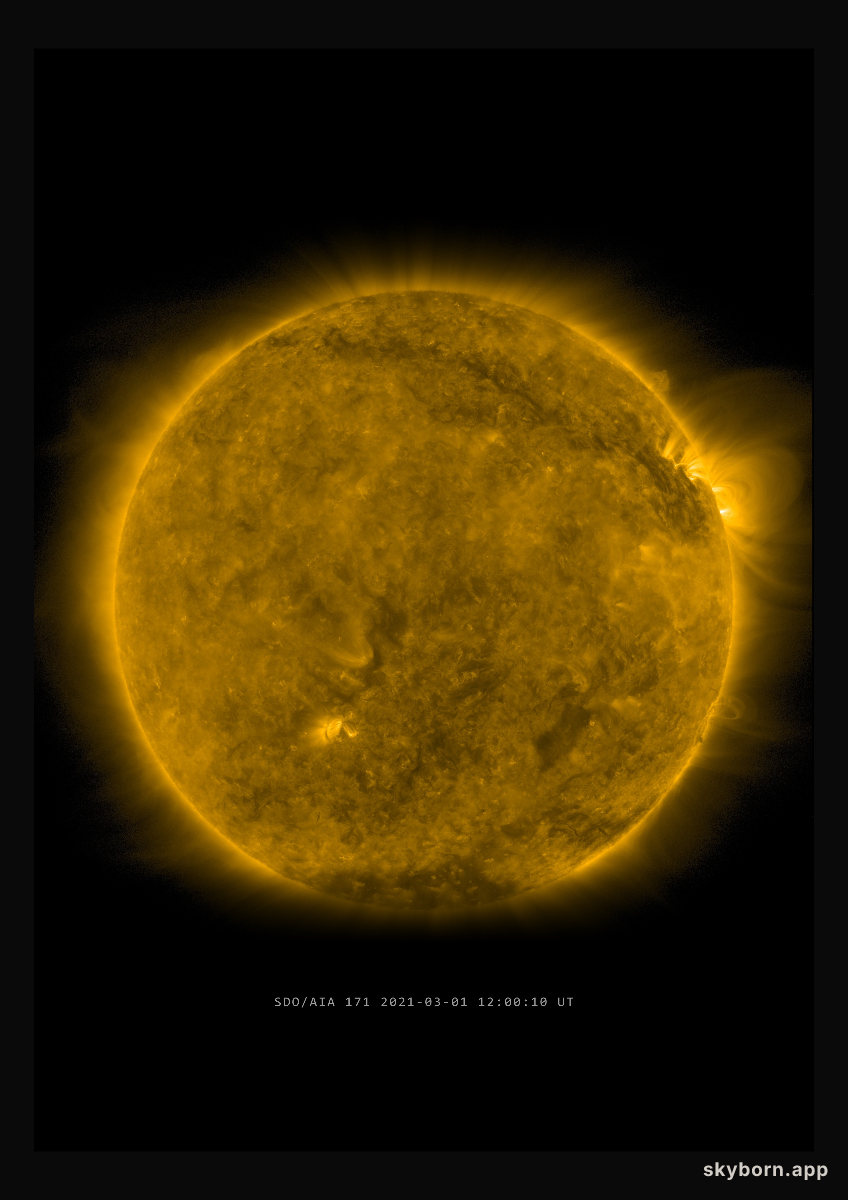 The Sun on 1 March 2021
