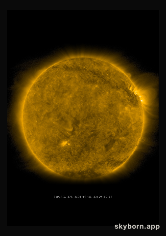 The Sun on 1 March 2021