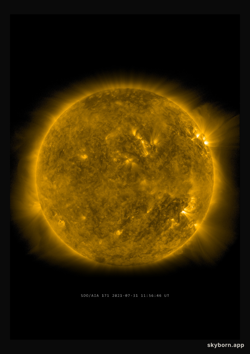 The Sun on 31 July 2021