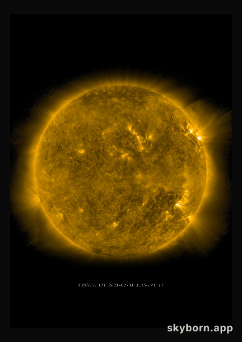 The Sun on 31 July 2021