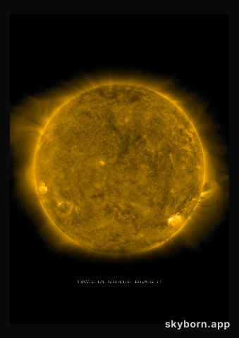 The Sun on 4 August 2021