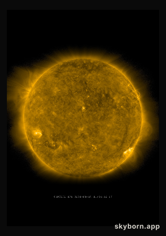 The Sun on 5 August 2021