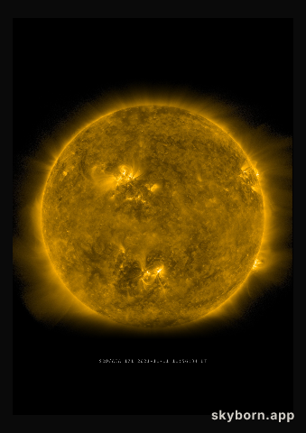 The Sun on 11 November 2021