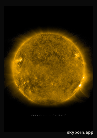 The Sun on 17 November 2021