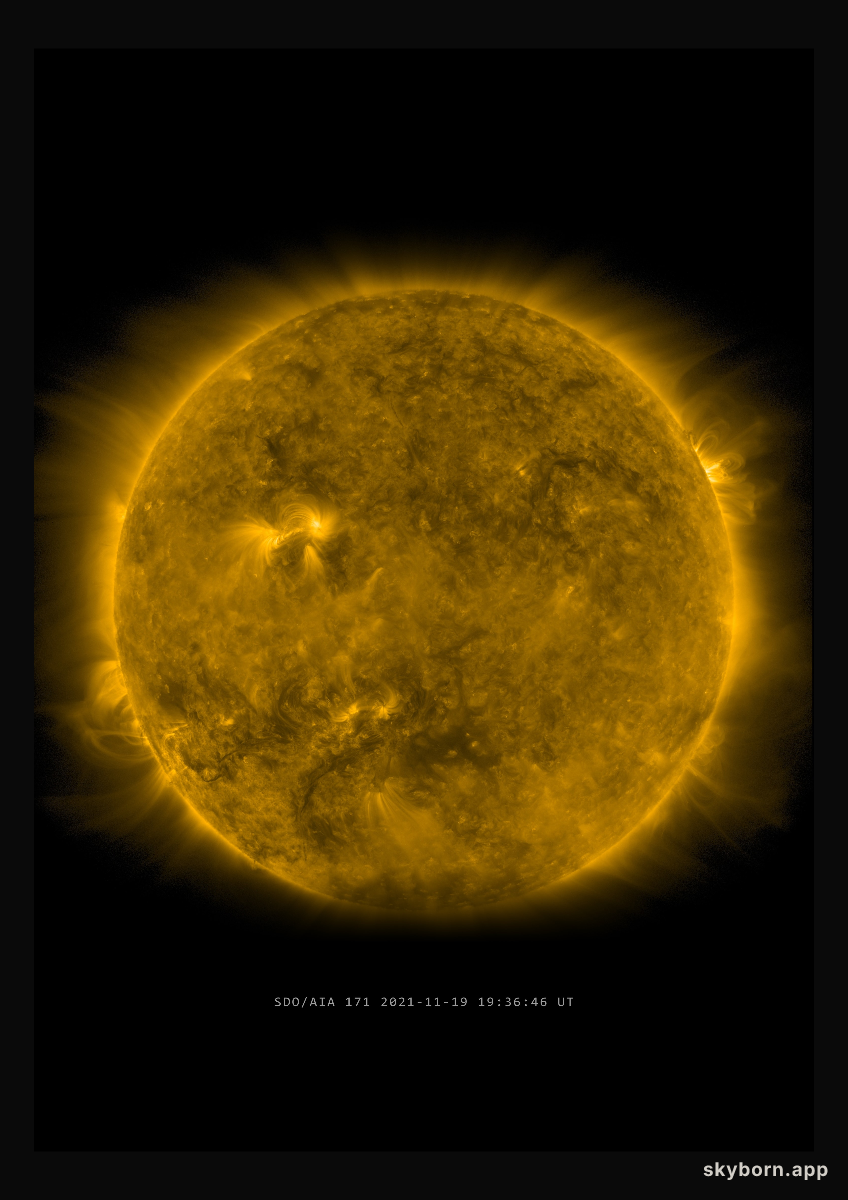 The Sun on 19 November 2021
