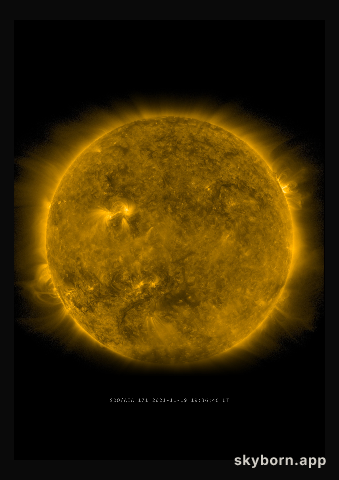 The Sun on 19 November 2021