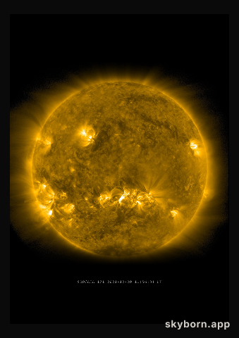 The Sun on 20 December 2021