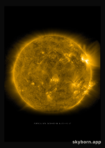 The Sun on 31 December 2021