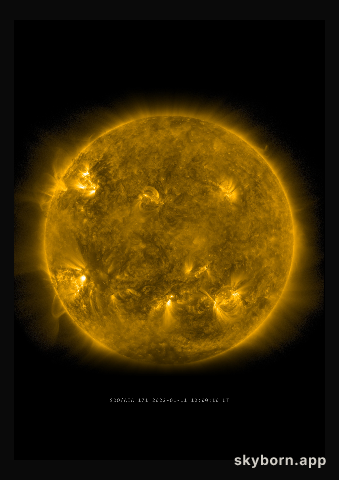 The Sun on 11 January 2022